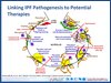 A New Era in IPF: Pathophysiology and Recent Clinical Trials